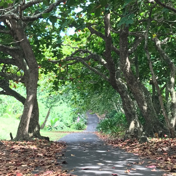 Meet your Posher, Nathalie - Picture 1 of 1